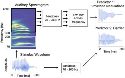 Cortical responses time-locked to continuous speech in the high-gamma band depend on selective attention